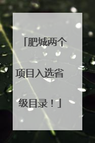 肥城两个项目入选省级目录！