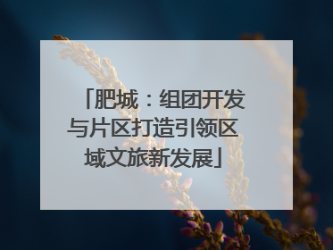 肥城：组团开发与片区打造引领区域文旅新发展