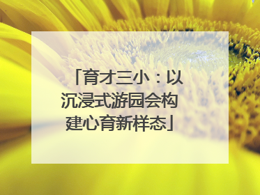 育才三小：以沉浸式游园会构建心育新样态