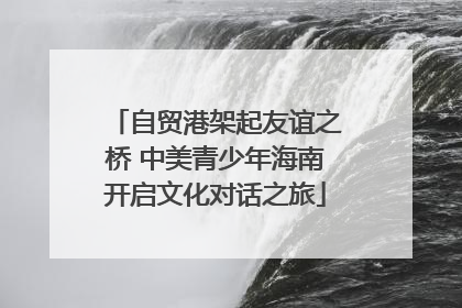 自贸港架起友谊之桥 中美青少年海南开启文化对话之旅