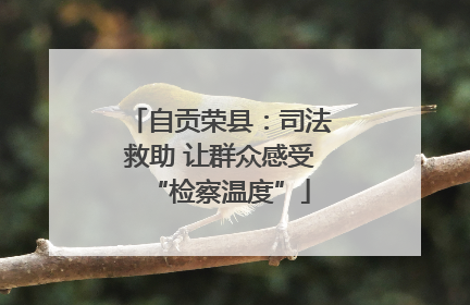 自贡荣县：司法救助 让群众感受“检察温度”