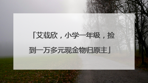 艾载欣，小学一年级，捡到一万多元现金物归原主