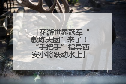 花游世界冠军“教练天团”来了！“手把手”指导西安小将跃动水上