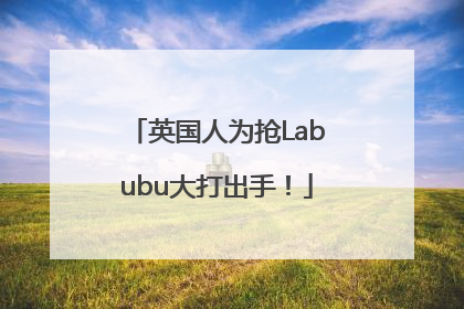 英国人为抢Labubu大打出手！