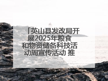 英山县发改局开展2025年粮食和物资储备科技活动周宣传活动 推进科技兴粮兴储