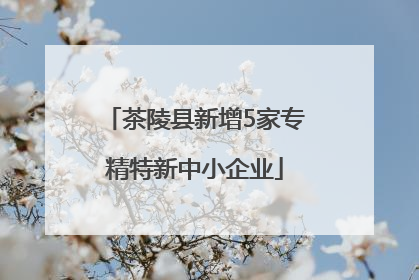 茶陵县新增5家专精特新中小企业