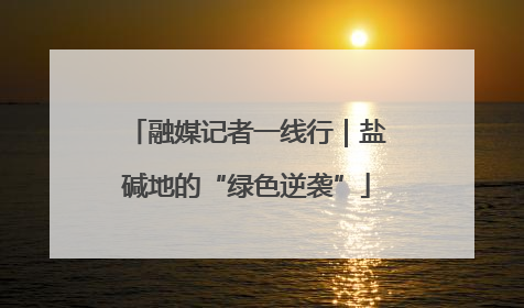 融媒记者一线行｜盐碱地的“绿色逆袭”