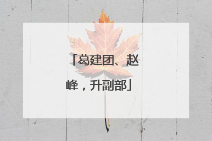 葛建团、赵峰，升副部