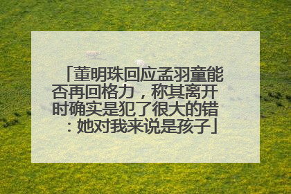 董明珠回应孟羽童能否再回格力，称其离开时确实是犯了很大的错：她对我来说是孩子