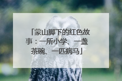 蒙山脚下的红色故事：一所小学、一盏茶碗、一匹病马