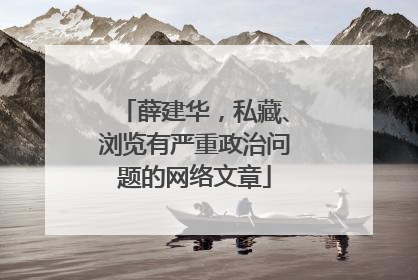 薛建华，私藏、浏览有严重政治问题的网络文章