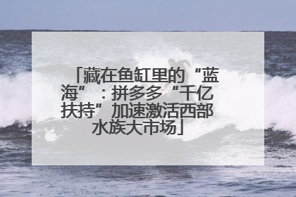 藏在鱼缸里的“蓝海”：拼多多“千亿扶持”加速激活西部水族大市场