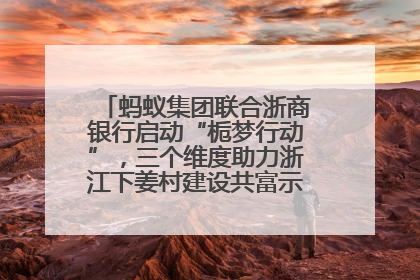 蚂蚁集团联合浙商银行启动“栀梦行动”，三个维度助力浙江下姜村建设共富示范区示范点