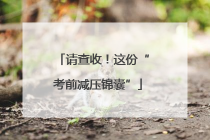 请查收！这份“考前减压锦囊”