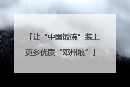 让“中国饭碗”装上更多优质“邓州粮”