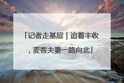 记者走基层｜追着丰收，麦客夫妻一路向北