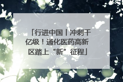 行进中国丨冲刺千亿级！通化医药高新区踏上“新”征程