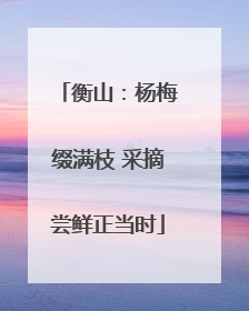 衡山：杨梅缀满枝 采摘尝鲜正当时