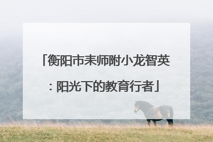 衡阳市耒师附小龙智英：阳光下的教育行者
