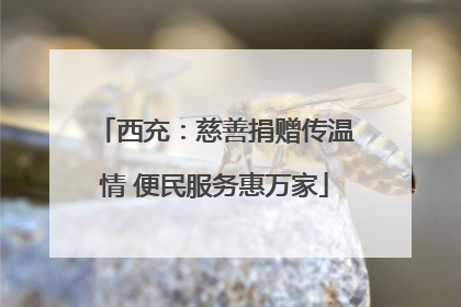 西充：慈善捐赠传温情 便民服务惠万家