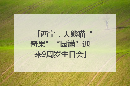 西宁：大熊猫“奇果”“园满”迎来9周岁生日会