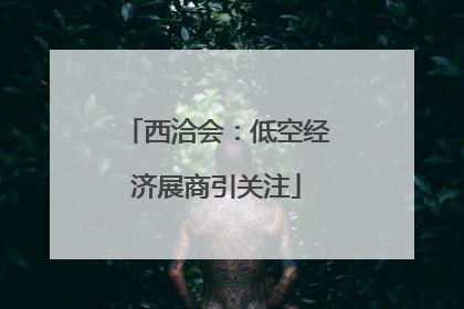 西洽会：低空经济展商引关注