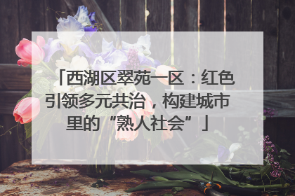 西湖区翠苑一区：红色引领多元共治，构建城市里的“熟人社会”
