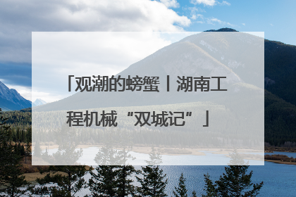 观潮的螃蟹丨湖南工程机械“双城记”