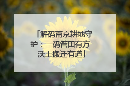 解码南京耕地守护：一码管田有方 沃土搬迁有道