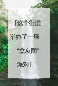 这个街道举办了一场“盆友圈”派对