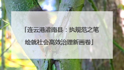 连云港灌南县：执规范之笔 绘就社会高效治理新画卷