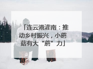 连云港灌南：推动乡村振兴，小蘑菇有大“蘑”力