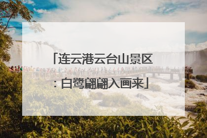 连云港云台山景区：白鹭翩翩入画来