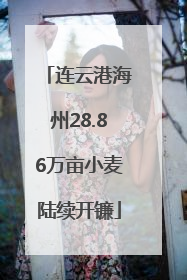 连云港海州28.86万亩小麦陆续开镰