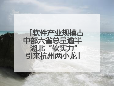 软件产业规模占中部六省总量逾半 湖北“软实力”引来杭州两小龙