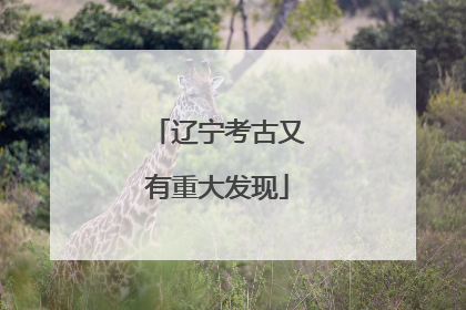 辽宁考古又有重大发现