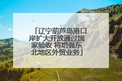 辽宁葫芦岛港口岸扩大开放通过国家验收 将增强东北地区外贸业务
