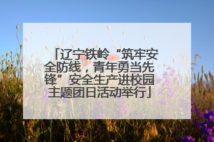 辽宁铁岭“筑牢安全防线，青年勇当先锋”安全生产进校园主题团日活动举行