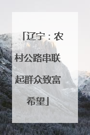 辽宁：农村公路串联起群众致富希望