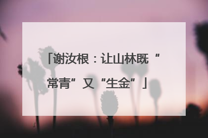 谢汝根：让山林既“常青”又“生金”