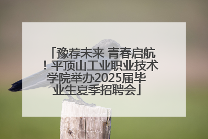 豫荐未来 青春启航！平顶山工业职业技术学院举办2025届毕业生夏季招聘会