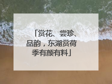 赏花、尝珍、品韵，东湖赏荷季有颜有料