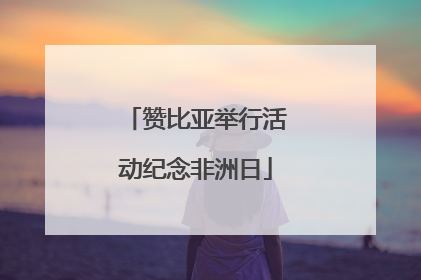赞比亚举行活动纪念非洲日