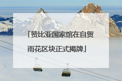 赞比亚国家馆在自贸雨花区块正式揭牌