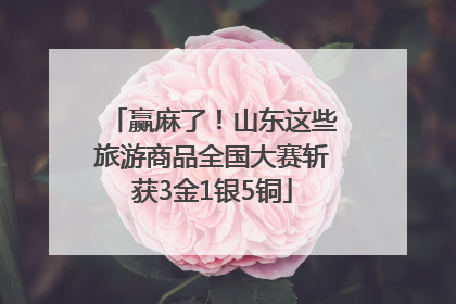 赢麻了！山东这些旅游商品全国大赛斩获3金1银5铜