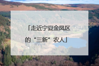 走近宁夏金凤区的“三新”农人