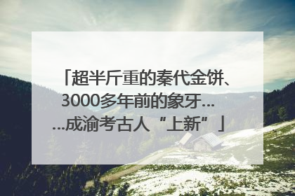 超半斤重的秦代金饼、3000多年前的象牙……成渝考古人“上新”
