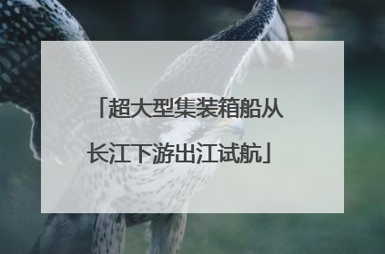超大型集装箱船从长江下游出江试航