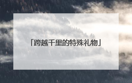 跨越千里的特殊礼物