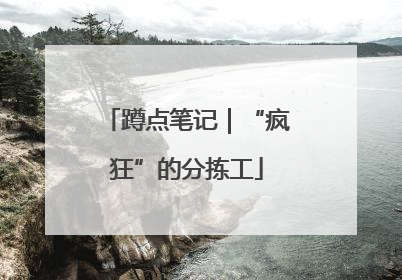 蹲点笔记｜“疯狂”的分拣工